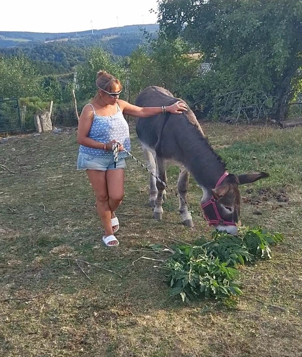Chez Romu Διαμέρισμα Rieutort Εξωτερικό φωτογραφία